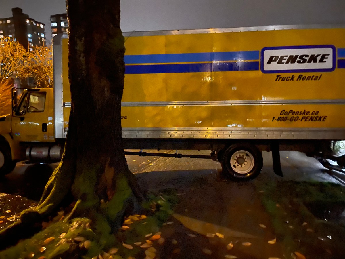 Trauma Counselling……