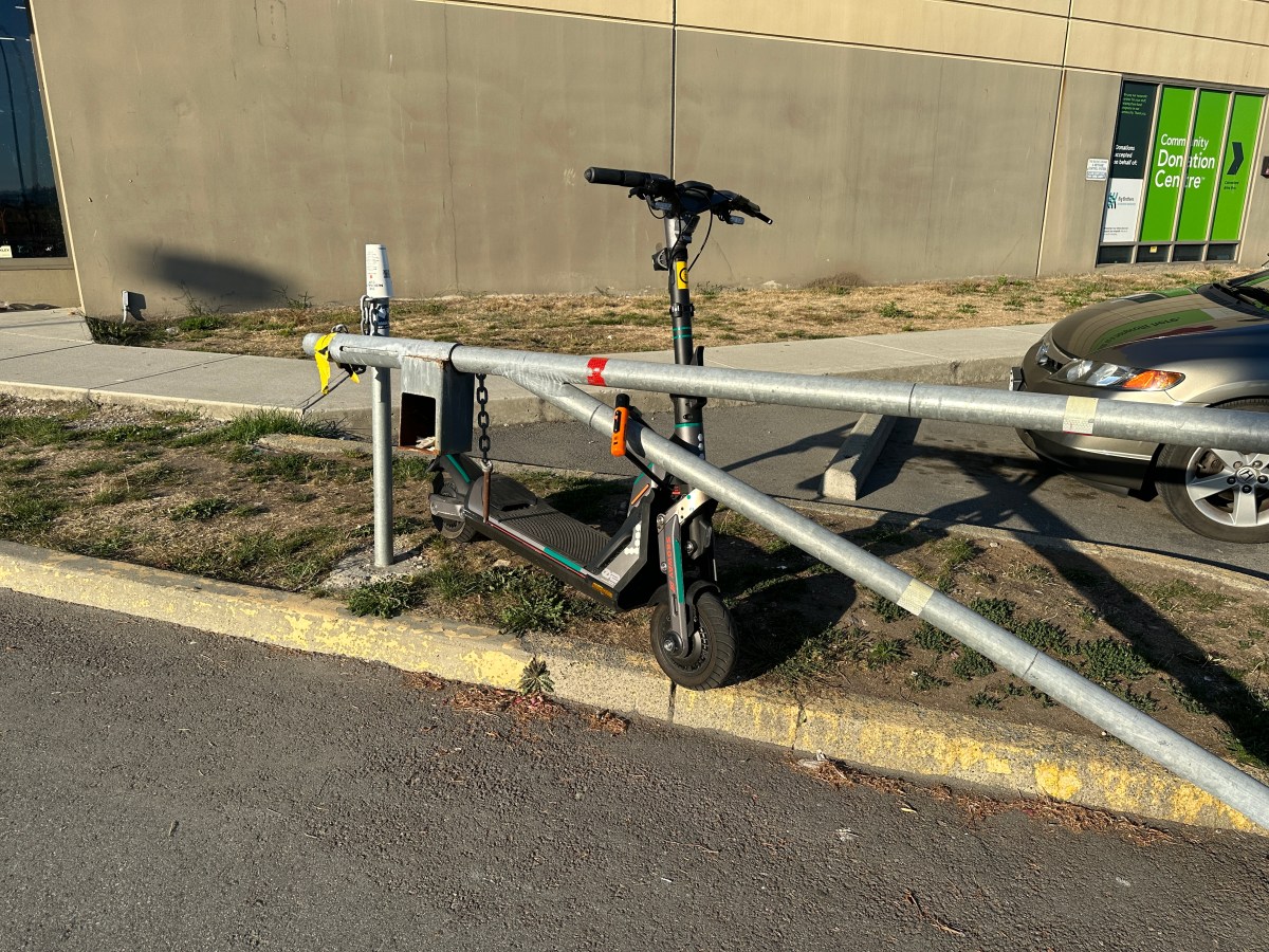 I counted my&nbsp;dresses