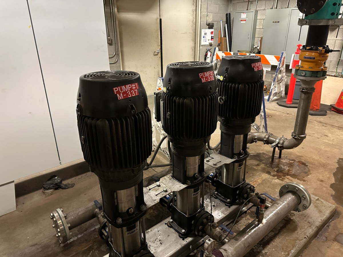 Hold your horses and don’t get&nbsp;excited.