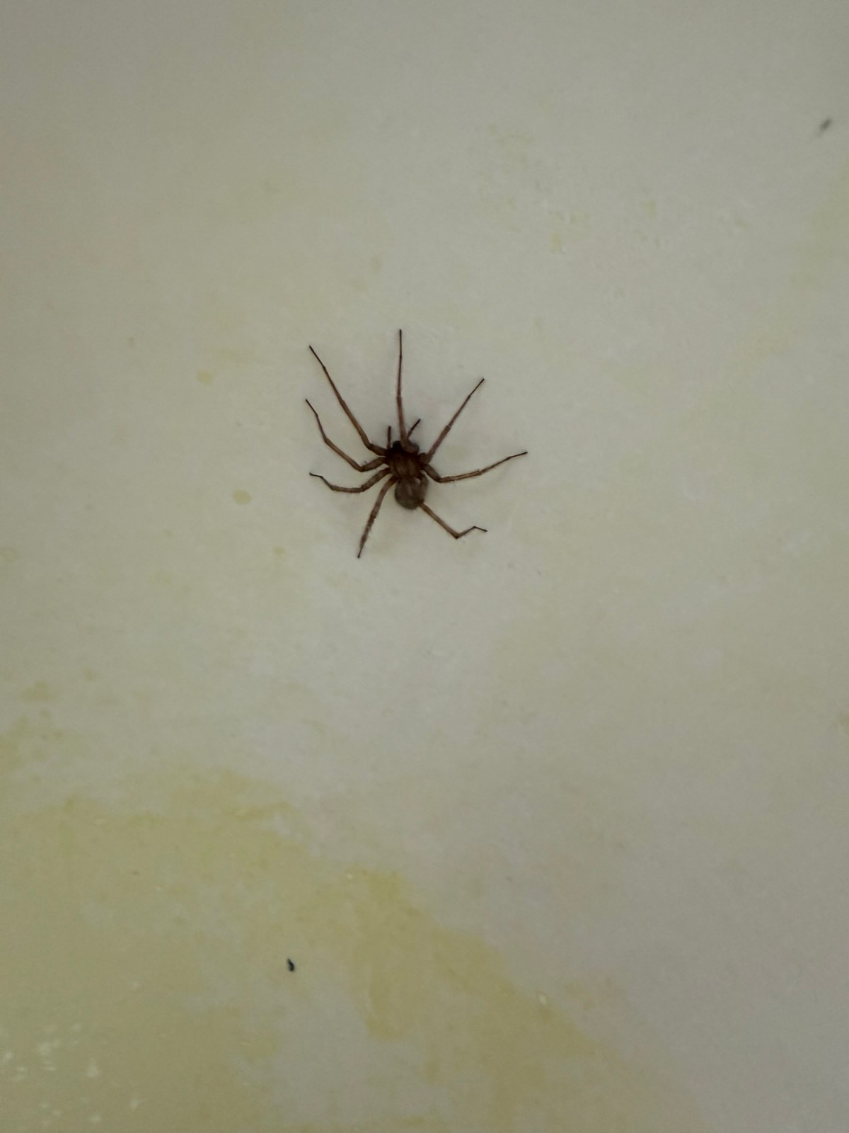 What is the most important thing to carry with you all the&nbsp;time?