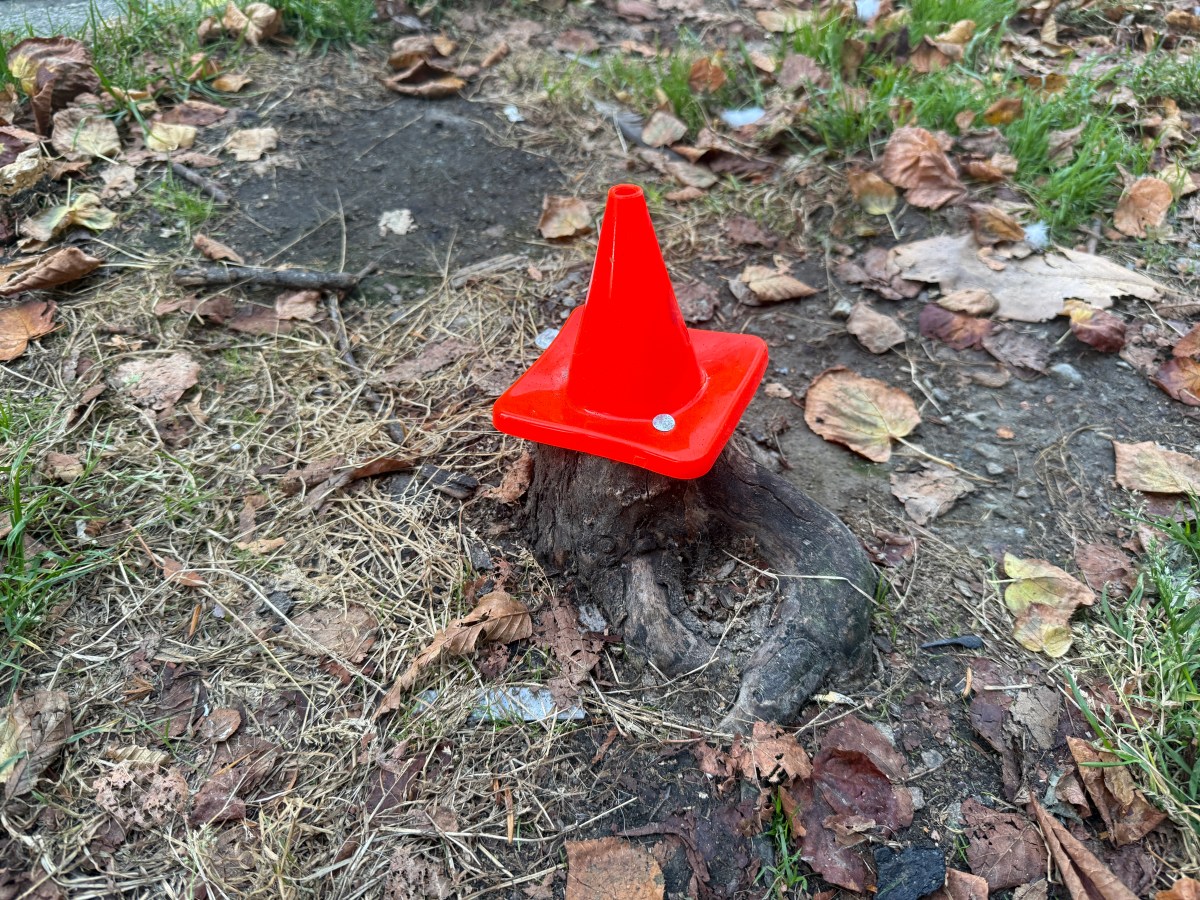 Another chat with&nbsp;Chat